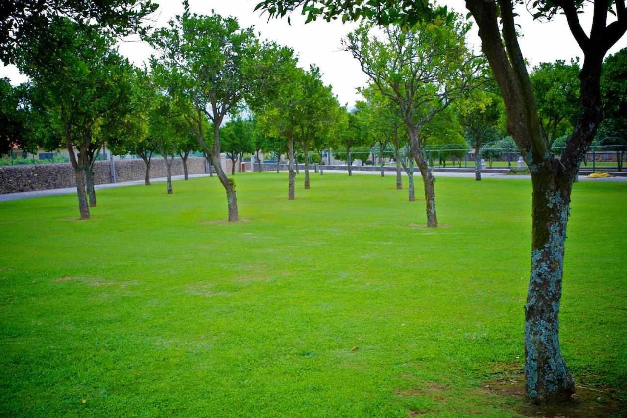 Quinta De Resela ξενώνας Vila Verde  Εξωτερικό φωτογραφία